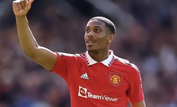 将他们安放 将他们安放