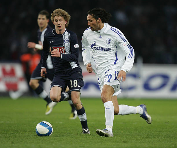 无论是在意 无论是在意